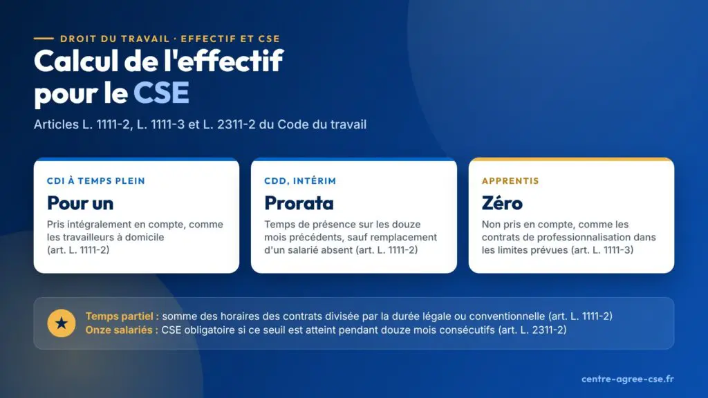 Infographie : pour le CSE, les CDI à temps plein comptent pour un, les CDD et intérimaires au prorata de leur présence sur douze mois sauf remplacement d'un absent, les apprentis ne comptent pas ; le seuil de onze salariés s'apprécie sur douze mois consécutifs
