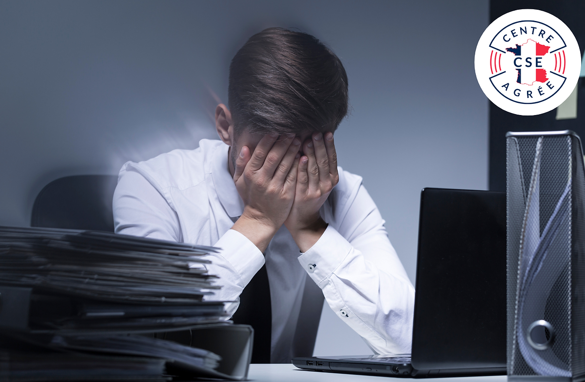 formation cse: objectif