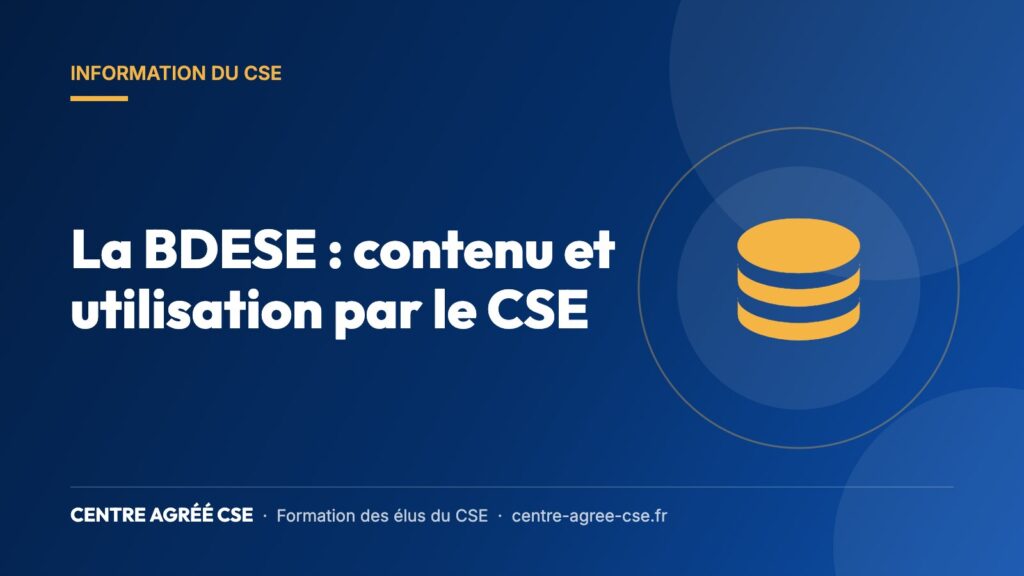 La BDESE : contenu et utilisation par le CSE — Centre Agréé CSE