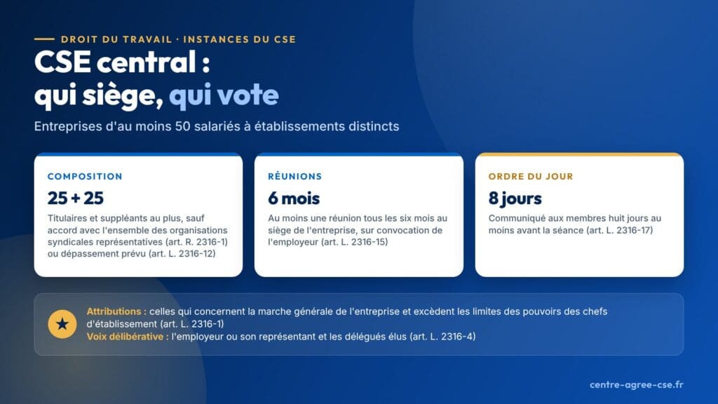 Infographie : CSE central des entreprises d'au moins 50 salariés à établissements distincts ; vingt-cinq titulaires et vingt-cinq suppléants au plus, sauf accord avec l'ensemble des organisations syndicales représentatives ou dépassement prévu par l'article L. 2316-12 ; au moins une réunion tous les six mois au siège ; ordre du jour communiqué aux membres huit jours au moins avant la séance.
