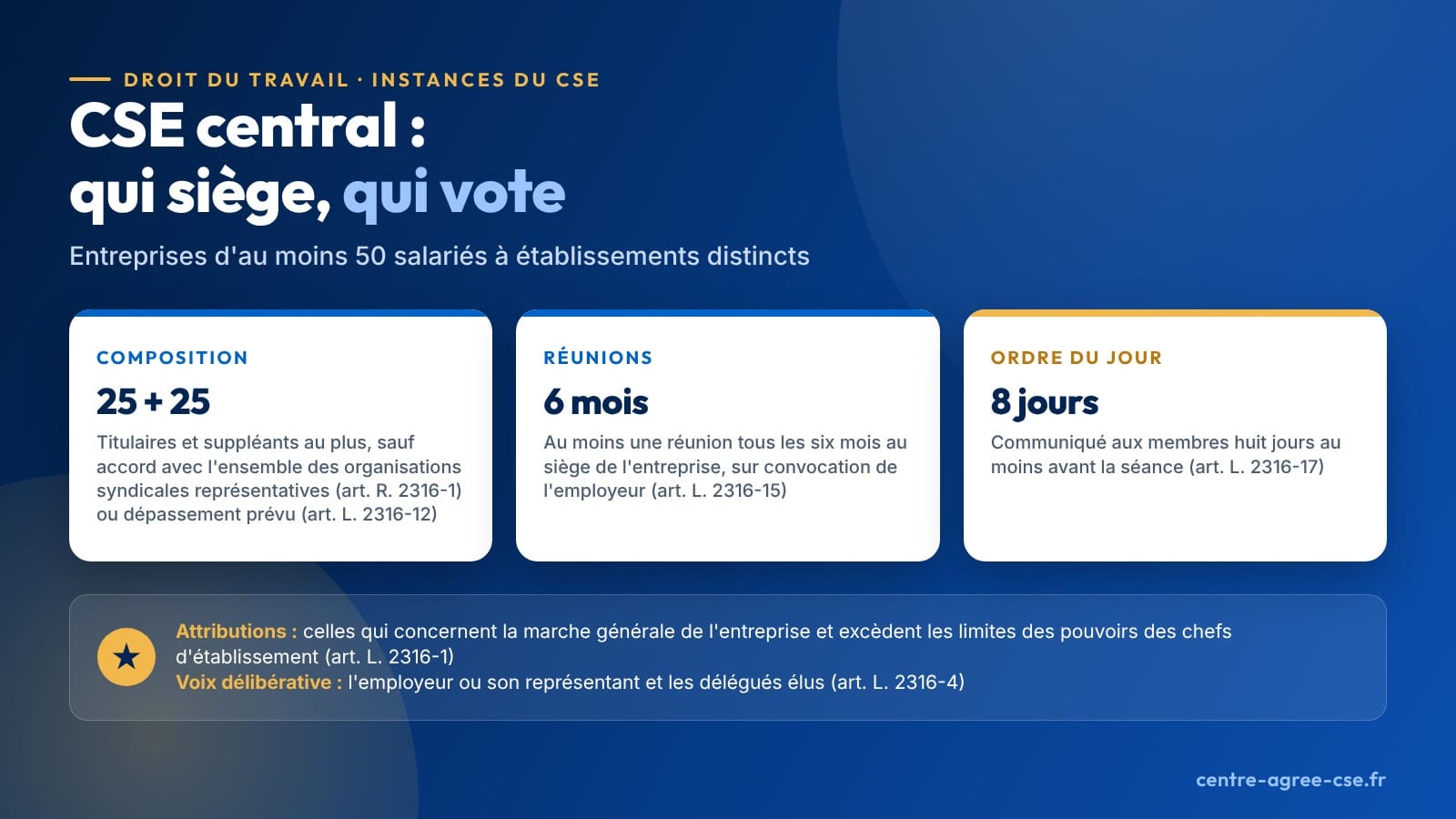 Infographie : CSE central des entreprises d'au moins 50 salariés à établissements distincts ; vingt-cinq titulaires et vingt-cinq suppléants au plus, sauf accord avec l'ensemble des organisations syndicales représentatives ou dépassement prévu par l'article L. 2316-12 ; au moins une réunion tous les six mois au siège ; ordre du jour communiqué aux membres huit jours au moins avant la séance.
