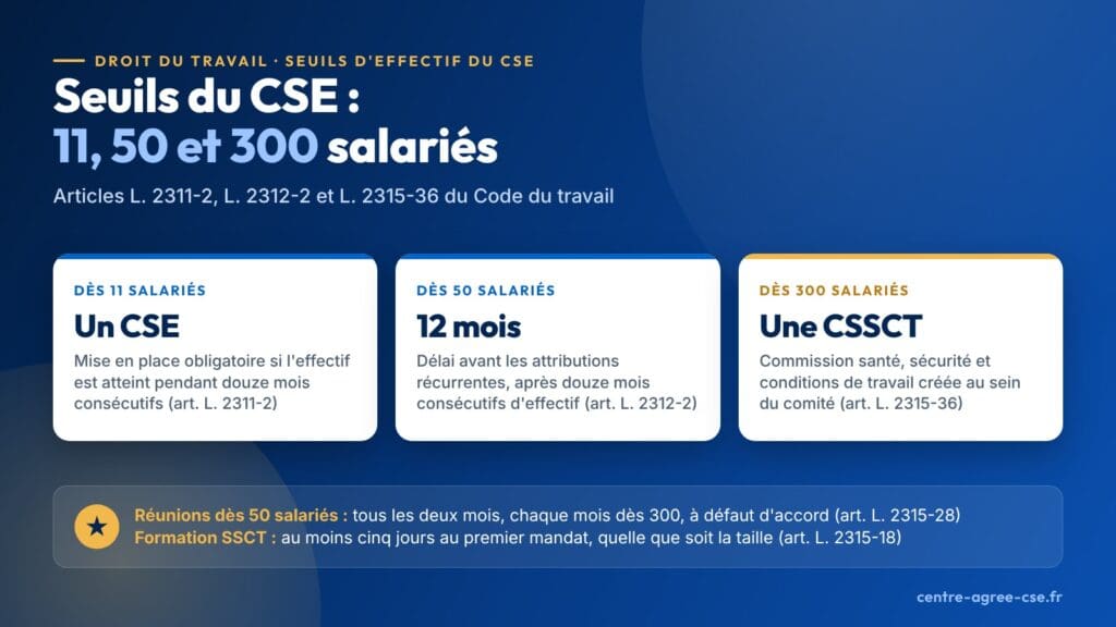 Infographie : seuils d'effectif du CSE, un comité dès 11 salariés, un délai de 12 mois avant les attributions récurrentes à 50 salariés, une commission santé, sécurité et conditions de travail dès 300 salariés